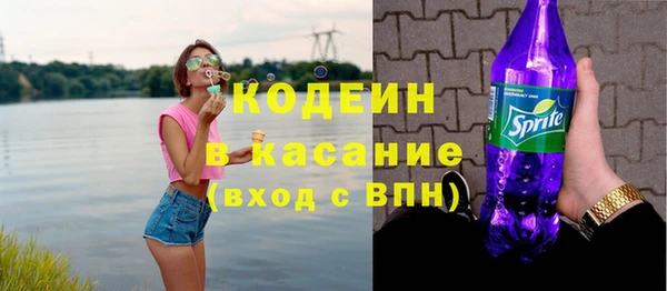 дживик Бородино