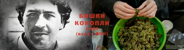 дживик Бородино
