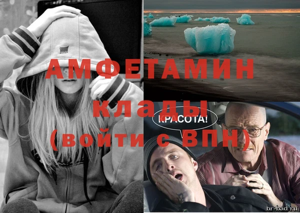 дживик Бородино