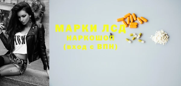 дживик Бородино