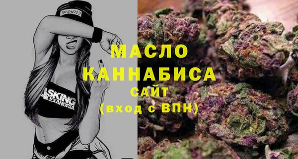 дживик Бородино