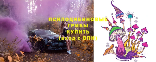 мдпв Бронницы