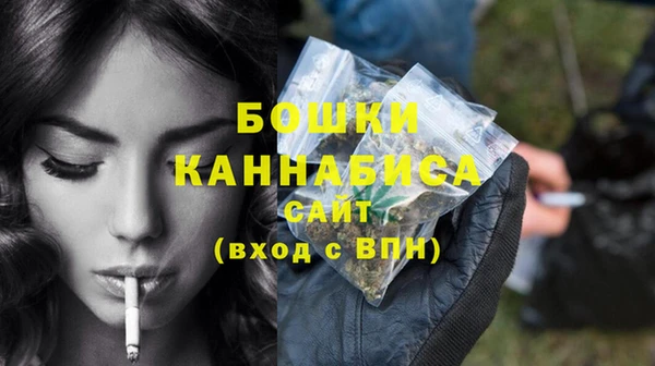 мдпв Бронницы