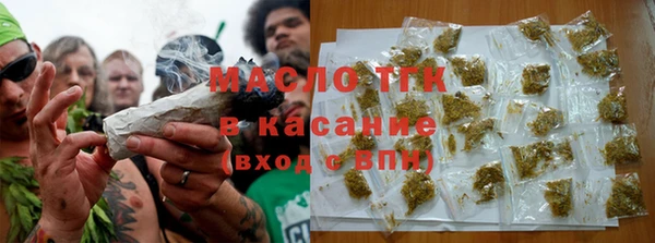 дживик Бородино